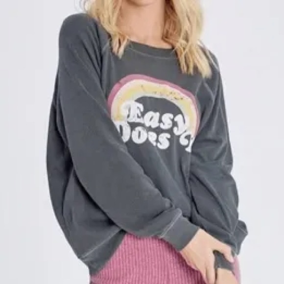 Wildfox Tops - Wildfox "Easy Does It" sweatshirt gray charcoal rainbow graphic size medium